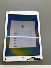 Apple ipad pro usato  Vajont