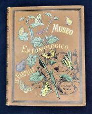 Sordelli farfalle museo usato  Fonte Nuova