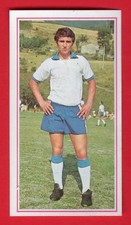 Figurina calciatori panini usato  Perugia