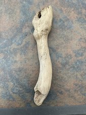 Natural driftwood plants for sale  Camarillo