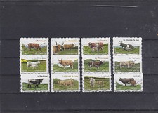 2014 vaches serie d'occasion  Mortagne-du-Nord