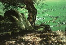 Antonio saliola grande usato  Malalbergo