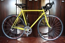 Moser leader tg. usato  Italia