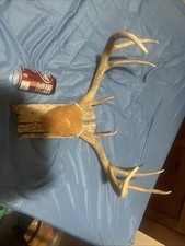 Pt. horn mount for sale  Allen