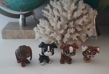 Lot petshop d'occasion  Castres