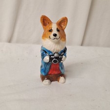 corgi pembroke for sale  Worcester
