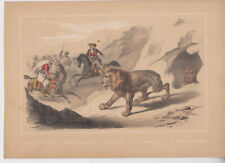 lion print for sale lion print for sale Yonkers