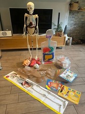 Deagostini mensch funktioniert gebraucht kaufen  Ratingen