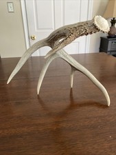 deer hunting stands for sale deer hunting stands for sale Chester Springs