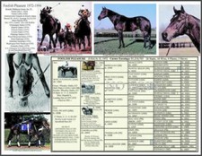 Horse racing foolish for sale  Simi Valley