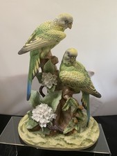 parakeets adult pairs for sale parakeets adult pairs for sale Lincoln