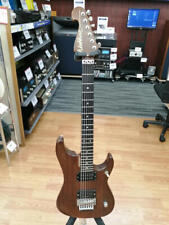 Washburn gutiar elettrico usato  Spedire a Italy