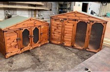 Large animal rabbit for sale  CRAWLEY