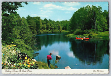 Cartão postal vintage cena Canadá pesca ao longo de um rio tranquilo canoa flores verão, usado comprar usado  Enviando para Brazil