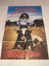 Vintage 1983 budweiser for sale  Warwick