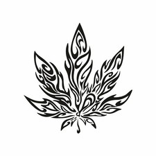 Ganja stickers motorcycle d'occasion  Expédié en Belgium