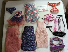 2 small dog collars 1 for sale 2 small dog collars 1 for sale Lovingston