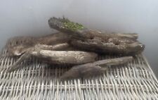 Reptile wood pieces for sale  WARRINGTON