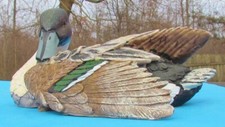 Euc resin adult for sale  Marion