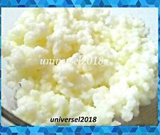 Kéfir lait 10g d'occasion  Villeneuve-d'Ascq-