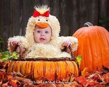 Children place duck for sale  Auburn