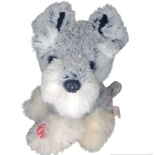 Cute grey schnauzer for sale  TROWBRIDGE