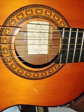 Chitarra classica usato  Villorba