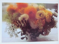 puzzle david hamilton d'occasion puzzle david hamilton d'occasion  Montpellier-