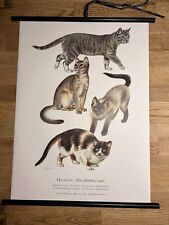 Hauskatzen katze rollkarte gebraucht kaufen  Hürth