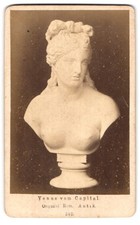 Fotografie rom büste gebraucht kaufen  Berlin