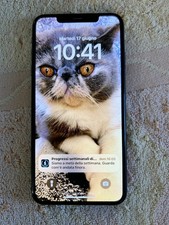 Iphone max 64gb usato  Vallebona
