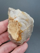 Middle paleolithic neanderthal d'occasion  Bonneville