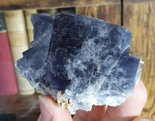 Fluorine chavaniac lafayette d'occasion  Expédié en Belgium