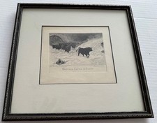Scottish highland western for sale  Spokane