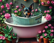 Miniature pinsher bath for sale  DUNSTABLE