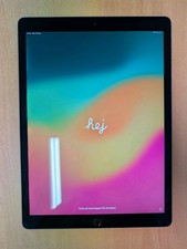 Ipad pro 12.9 usato  Castello di Brianza