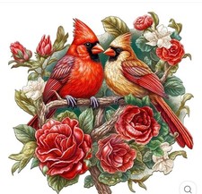 Woodbests red birds for sale  Seminole