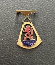 Vintage enamel badge for sale  BONNYRIGG