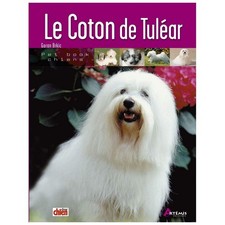 Coton tuléar d'occasion  France