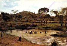 CPM Africa Camerun Koza Bagno IN Montagne A Primi Pioggia na sprzedaż  Wysyłka do Poland