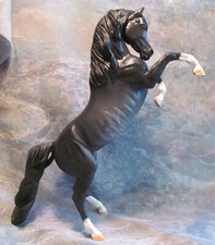 Gorgeous black rabicano for sale  Winchester