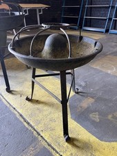 Mexican hat pig for sale  CHELMSFORD