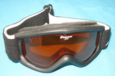 Alpina skibrille doubleflex gebraucht kaufen Alpina skibrille doubleflex gebraucht kaufen  Singen (Hohentwiel)