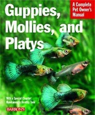 Guppies mollies platys for sale  UK