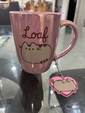 Beautiful rare pusheen for sale  Homestead