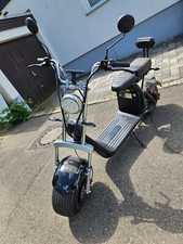 1500w 60v20a removable gebraucht kaufen  Reutlingen