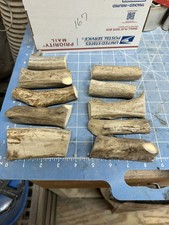Pcs whitetail antler for sale  Leander
