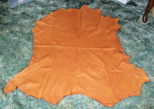 Whitetail deer tanned for sale  Hamburg