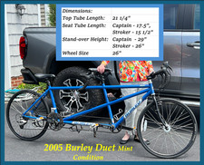Burley duet tandum for sale  Tall Timbers