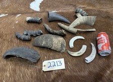 Misc lot horn for sale  Harper